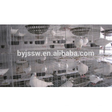 Cage of pigeon for Sale of high-quality wire mesh